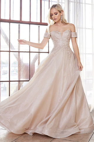 Off the shoulder ball gown with lace applique bodice and netted jacquard skirt